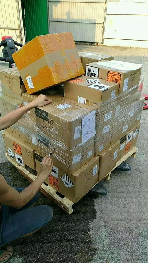 香港3000平方密封倉(cāng) 理貨分揀一站式服務(wù)，賦能深港物流與外賣遞送